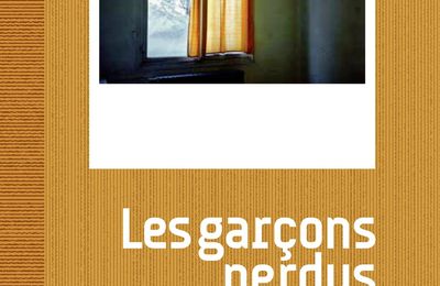 "Les garçons perdus " Arnaud Cathrine et Eric Caravaca