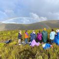 whales trail / le trail des baleines 