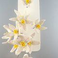 fleurs poudrées (broche) - Powdered flowers (Brooch)