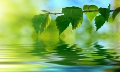 Tout est vibration