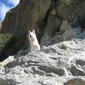 Foujy à la montagne...