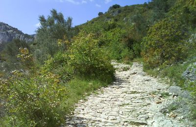 st guilhem le désert