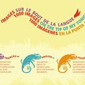 1000 images sur le bout de la langue: expressions idiomatiques en 3 langues