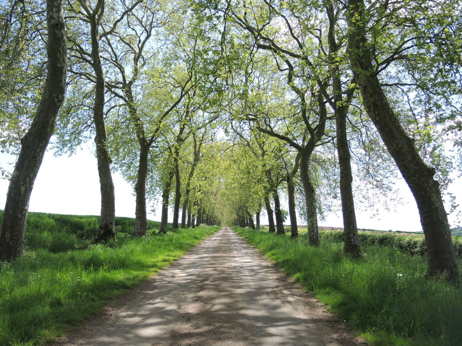Billy-Chevannes, route de dumphlun (58)