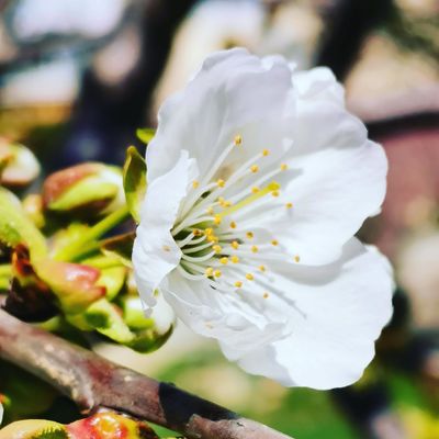 Quelques mots confinés