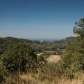 Summer in Provence