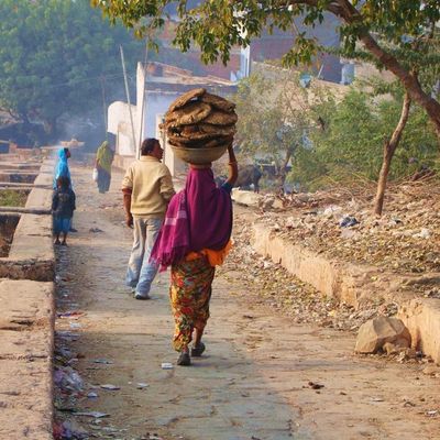 Il est temps de rentrer...fin du voyage