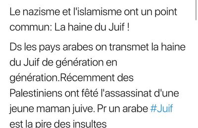 Henda Ayari: "pour un arabe, juif est la pire des insultes"