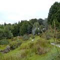 DAY 5&6 of the Overland Track