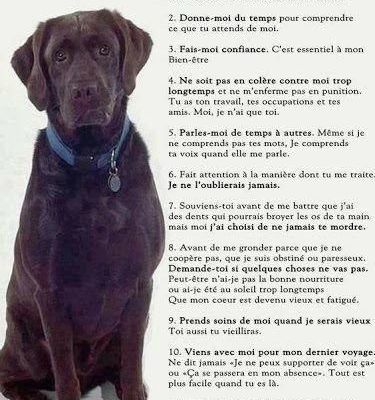 PRESENTATION DE CE BLOG