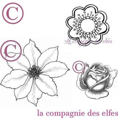 le tampon star de La Compagnie!