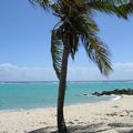 La destination de l'hiver : les Antilles Françaises ! 