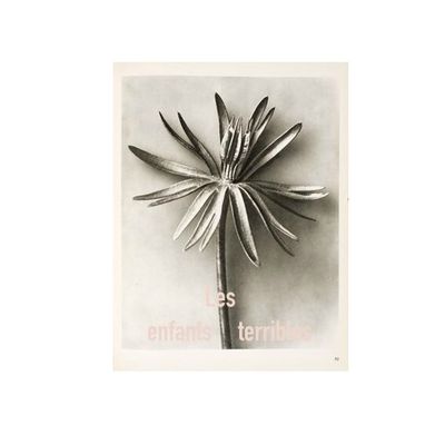 Les enfants terribles