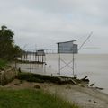 Balade entre estuaire et océan