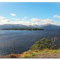 Back to Scotland (épisode 8)