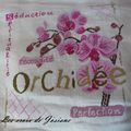 Les Orchidées