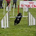 Championnat et Coupe de Bretagne à St-Brieuc, 04/2018