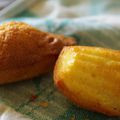 Madeleines (avec la bosse !)