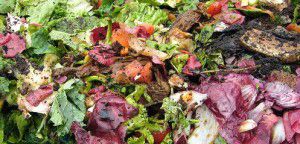 Définition du compost et principes du compostage