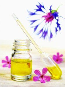 Bien choisir ses huiles végétales pour cuisiner et pour s'embellir