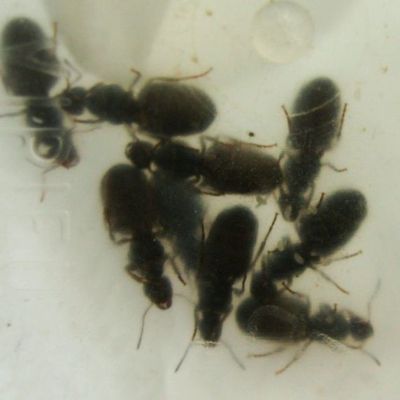 Après une nuit au chaud