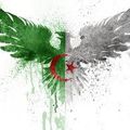 Contre le faux nationalisme algéro-berbériste, réaffirmer l'orientation arabo-musulmane de l'Algérie, par Kamel Nasser
