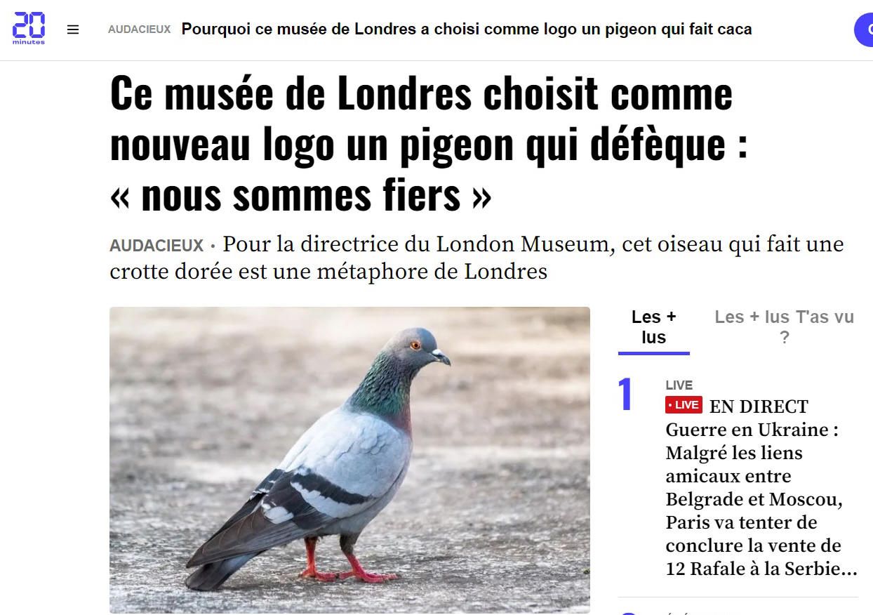 métaphore du pigeon