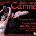 CARMEN spectacle FLAMENCO A LYON