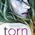 Torn / Cruelles de Cat Clarke