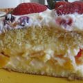 GATEAU AUX FRUITS