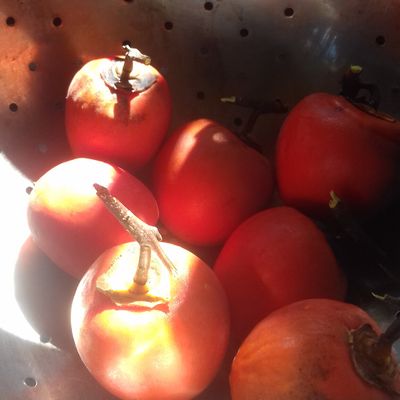 Kakis séchés avec une méthode japonaise