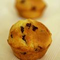 Muffins aux pépites de chocolat