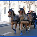 Des chevaux dans Paris... à l'occasion du Salon du Cheval