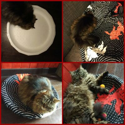 Fruits de mer vs Griotte