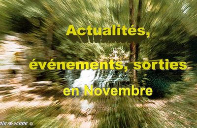 Actualités, événements, sorties en Novembre 