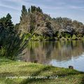 DU COTE DU LAC D ARMBOUTS CAPPEL...