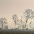 Brume normande