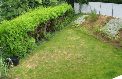 Vue sur le jardin