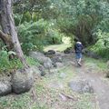 RUISSEAU DERRIÈRE CHEZ MOI (3/4) RDM LES BAS à la Réunion - Chanson - Poème - Nature de toute beauté - Recette