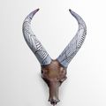 William Morris (born 1957), Deer Head Trophy, 1999