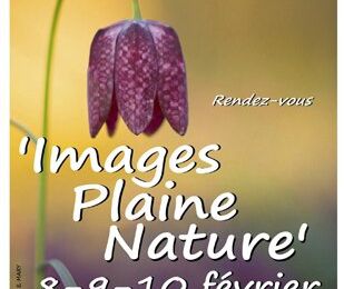 Images Plaine Nature