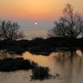 Couleurs du soir, au bord de l'Etang de Berre