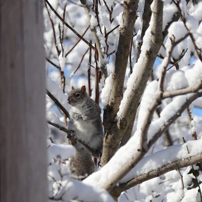 Defi photos 2024: semaine 5