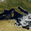 Vers de plus en plus de cyclones méditerranéens 
