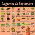 Liste de fruits et légumes d'automne