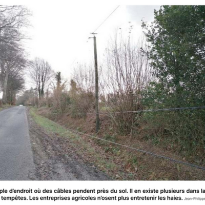 REVUE de PRESSE NORMANDE au 5 janvier 2025: Ubu roi de la fibre du bocage !!!