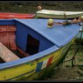 Les barques