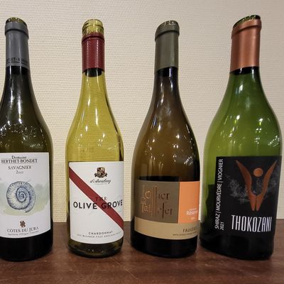Vins dégustés en mars 2025