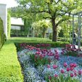  Les jardins de Giverny 