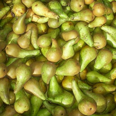 Aujourd'hui ça commence!!